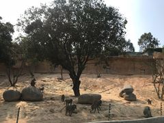 -泉州海丝野生动物世界