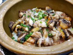 -红星光发煲仔饭(文海店)