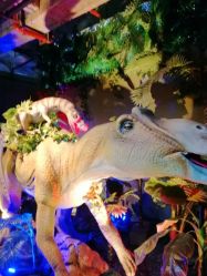 -恐龙探索乐园(磁器口店)