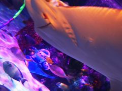 -沈阳海洋探索中心