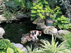 -谷咖啡·鲜花绿植花园餐厅