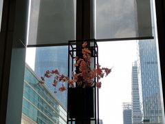 -花城苑广府菜(侨鑫店)
