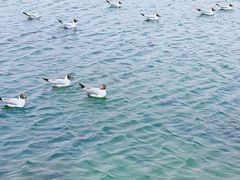 -青海湖二郎剑景区