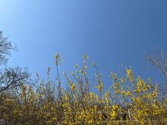 -天津盘山风景名胜区