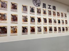 -有喵·猫咖·狗咖·30几只猫10只小狗(岗厦店)