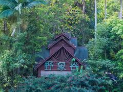 -野象谷景区