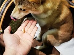 -蝶园·装修中(BFC外滩金融中心店)