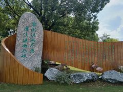 -荷塘月色湿地公园·向阳花洲