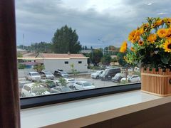 -马白开来特色羊排揪片子  (总店)