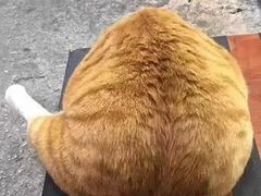 -小暖厨·长沙菜(孟州店)