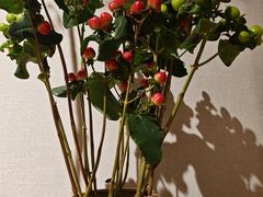 -十二舍·湯物素煮(江泰潤政店)