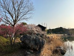 -阳澄湖半岛旅游度假区