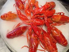-红盔甲·小龙虾(人民广场店)