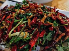 香辣肉丝-大东北(武侯祠店)