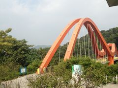 -玉树公园
