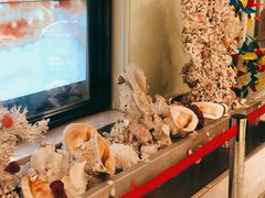 -开海·红岛海鲜虾水饺(石老人店)