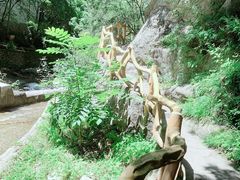 -陕西省红河谷森林公园