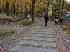 -阳台山自然风景区