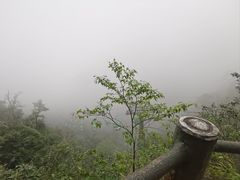 -井冈山风景名胜区