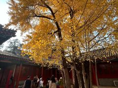 -承恩寺