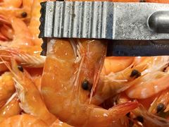 -苏格里岛自助烤肉海鲜火锅(成都金牛万达店)