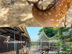 -迪茵湖田家舍生态农场