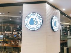 -油梨树 AVOCADO TREE(亮马桥店)