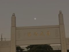 -宝安西湾红树林湿地公园