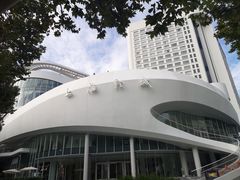 -浣熊唱片店(上海影城店)