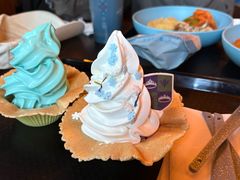 -巴黎迪士尼乐园