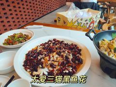 -三猫黑鱼花(南大店)