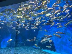 -泉城欧乐堡海洋极地世界