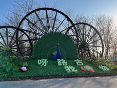 -呀路古热带植物园