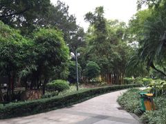 -晓港公园