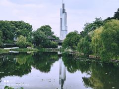 -紫峰大厦