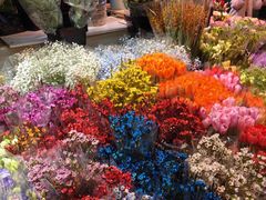 -大自然花鸟鱼虫市场
