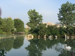 -三江森林温泉度假区
