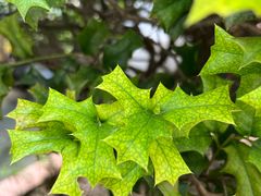 -广州神农草堂中医药博物馆