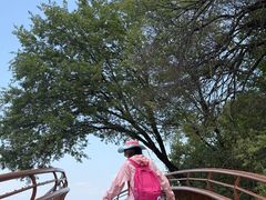 -少华山国家森林公园
