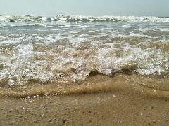 -日照海滨国家森林公园