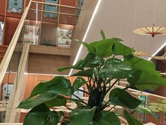 -悠然湯·汗蒸汤泉会馆
