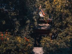 -曼听御花园