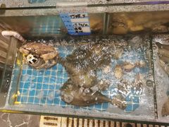 -烧货·活海鲜炭烧(湖滨商业街店)