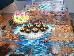 -映像威海·威海宴(威高广场店)