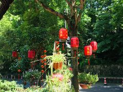 -国生茶庄·地道农家菜团建活动