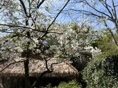 -中国茶叶博物馆(双峰馆区)