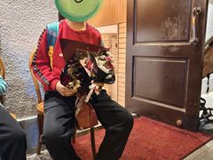 -老吉士酒家(天平路店)