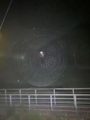 -Oasis Beauty水磨坊科技美肤中心