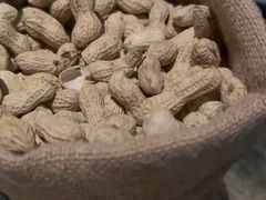 -Long Bar(莱佛士酒店)