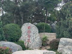 -中国唐苑